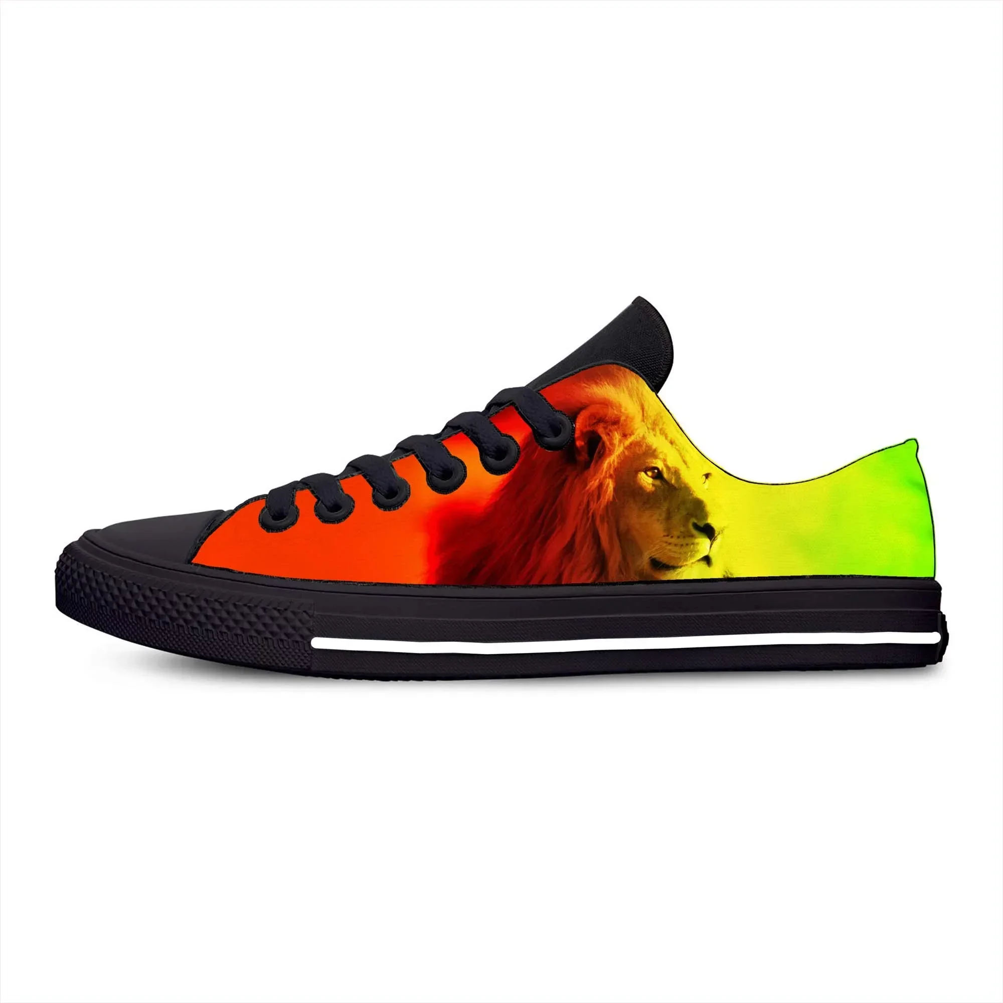 Hot Reggae Rastafarian Rasta R - огляд і ціна Men Shoes Marks