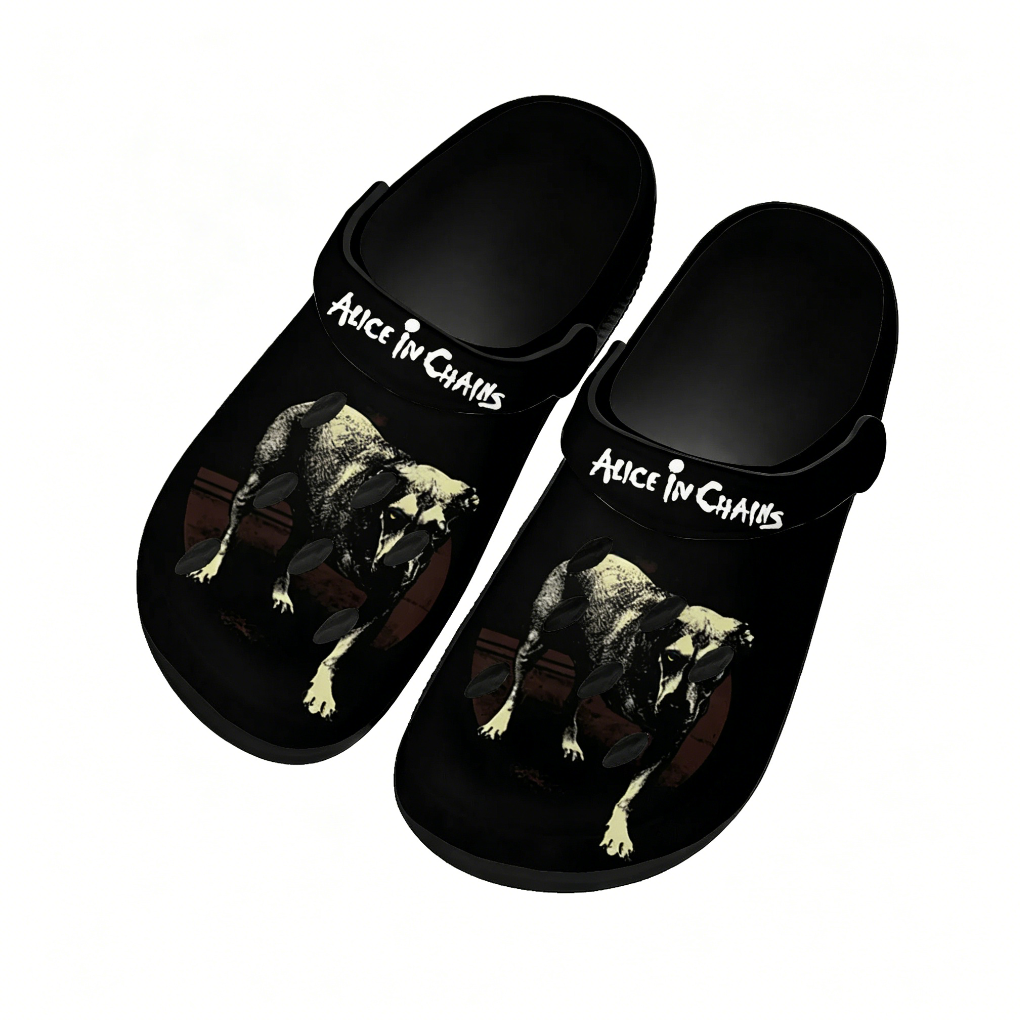 Alice in Chains Band Water Sho - огляд і ціна Men Shoes Black